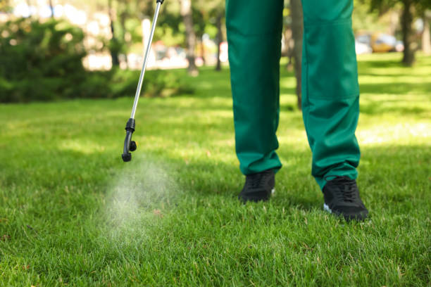 Best Flea Control Services  in Oak Park, MI