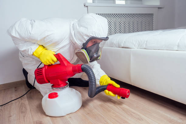 Best Wasp Removal Services  in Oak Park, MI