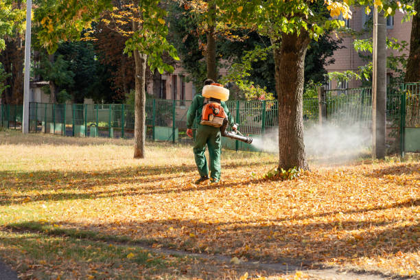  Oak Park, MI Pest Control Pros