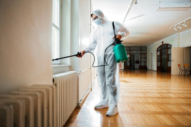 Best Termite Control Services  in Oak Park, MI