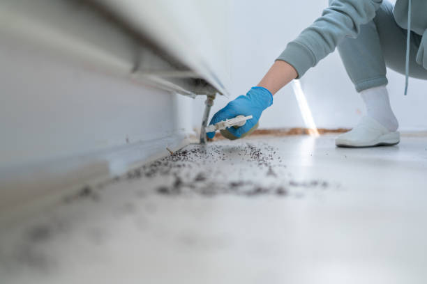 Best Pest Control Treatment  in Oak Park, MI